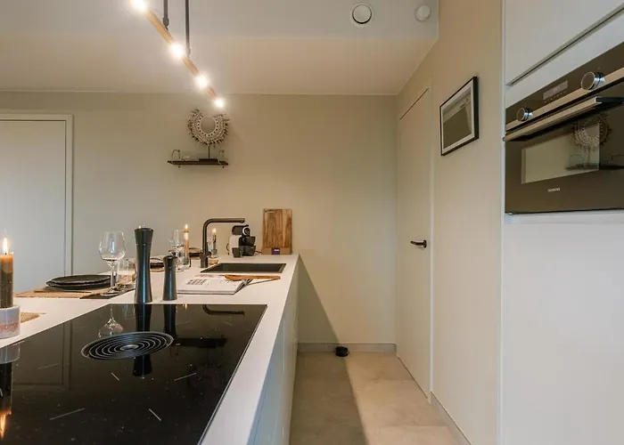 Chez Remi By Bloss 公寓 奥斯滕德